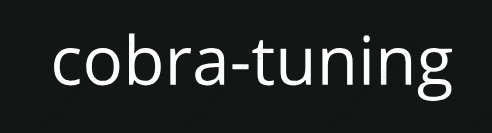 логотип компании www.cobra-tuning.kz